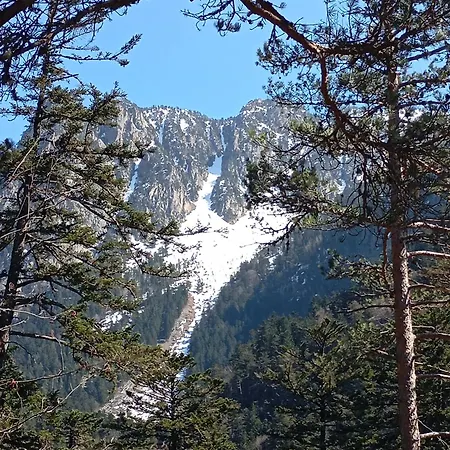 La Taniere Du Goupil T2 Bis 2 A 6 Personnes Cauterets